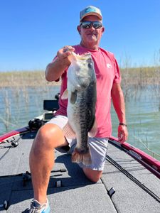 Best Bass Day on O.H. Ivie