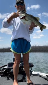 Monster Bass from Texas Waters