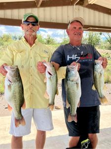 Largemouth bass and smallmouth bass caught in Texas