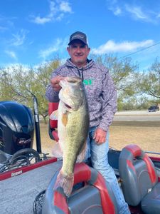 Largemouth bass caught in Voss