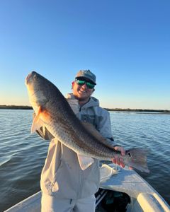 Black drum fish caught while fishing in Biloxi