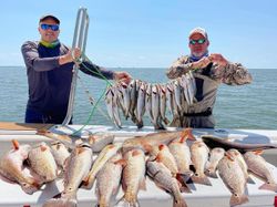 8 fish caught while fishing in MS