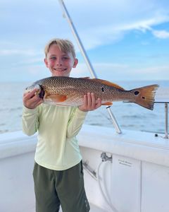 Redfish caught by angler in Biloxi