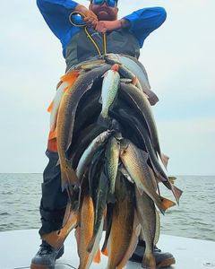 5 redfish caught in Biloxi