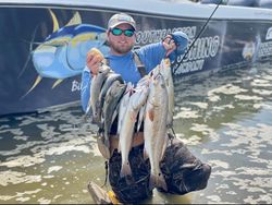Three redfish caught in Biloxi, Mississippi