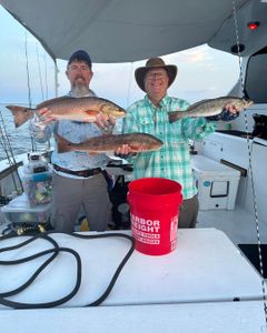 Three redfish and spotted weakfish caught while fishing in MS