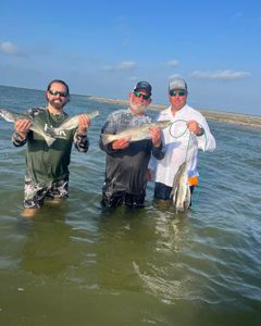 Three bluefish caught during a fishing trip in MS