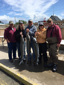 2 lake sturgeon caught in Warrenton