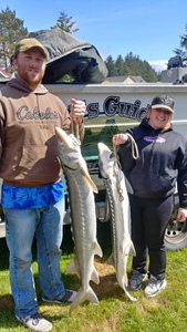Two anglers catch big fish in Oregon