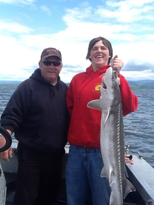 White Sturgeon fish caught in OR