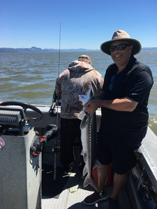 A white sturgeon fishing in Warrenton