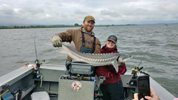 Angler holding a large white sturgeon fish in Oregon
