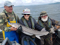 White Sturgeon fishing in OR