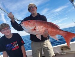 Red Snapper: Prized Catch for Anglers