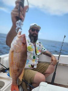 Discover the Beauty of Lane Snapper