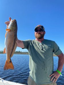 Deep-sea fishing in Panama City