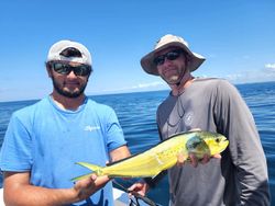Unlocking the Secrets of Mahi Mahi