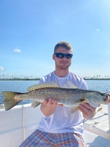 Sea Trout: : Coastal Catch of the Day