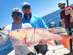 Lane Snapper: Coastal Catch of the Day