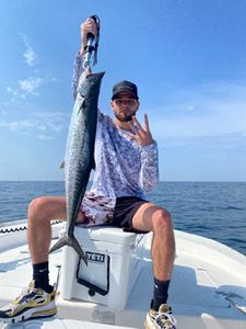 King Mackerel: Prized Catch for Anglers