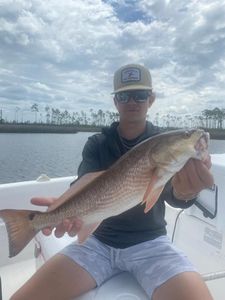 Redfish: Thrilling Pursuits