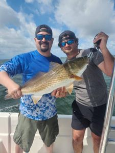 Anglers caught a great fish in FL