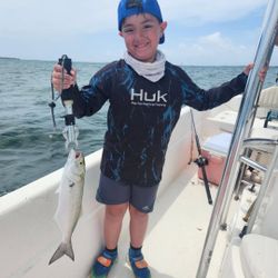 Bluefish caught while fishing in FL