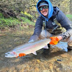 Rainbow Trout fishing in OR