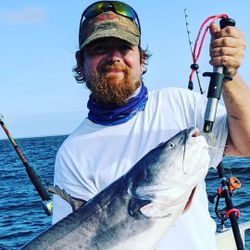 Whiskers on Display In Santee Cooper
