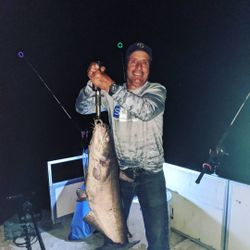 Fish Of The Day. Santee Cooper Catfish
