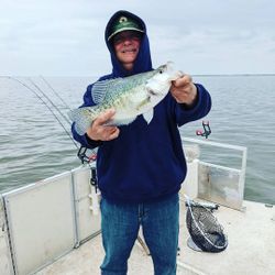 Crappie Fishing Bliss In Santee Cooper, SC
