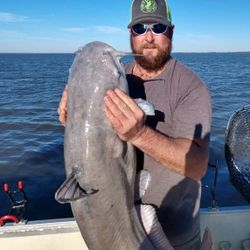 Catfish Glory Unveiled In Santee Cooper, SC