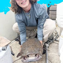 Proud Catfish Moments In Santee Cooper, SC