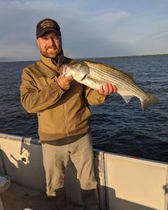 Sunset Striped Bass Gleam In Santee Cooper, SC