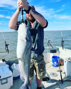 Catfish Fishing Bliss In Santee Cooper Waters