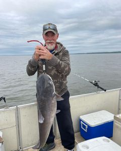 Hooked On Catfish Fishing In Santee Cooper