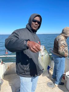 Premier Crappie Fishing In SC