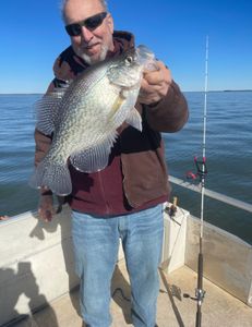 Crappie Trophy in Santee  Cooper Fishing Charter