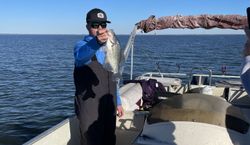 Crappie fish caught in SC