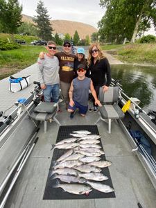 Three chinook salmon caught in Montesano