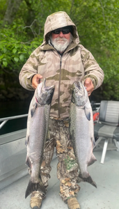 Two coho salmon, 24 inches long, caught while fishing in WA