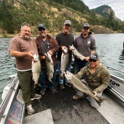 Five European seabass caught by fishers in Montesano