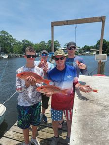 2 grey snapper fish caught in FL