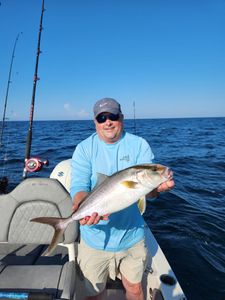 Greater Amberjack Fish in Florida Fishing