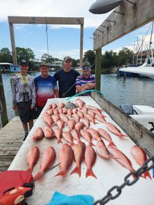 Two fishermen landing big fish in Florida