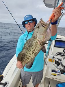 Photograph of a Gag Grouper, a 22-inch fish caught while fishing in Niceville.