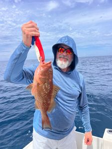 Red grouper caught while fishing in Niceville FL waters