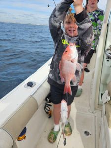 Red snapper catch on fishing boat in Niceville FL waters