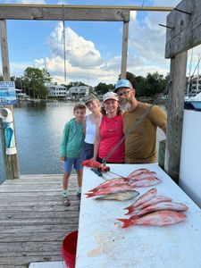 Fresh caught red snapper displayed on fish cleaning station dock in Niceville Florida