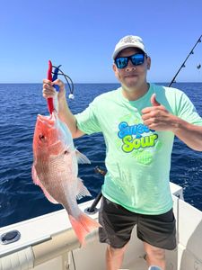 Red snapper caught while fishing in Niceville FL waters